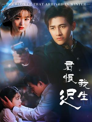 君恨我生迟＆司令府就是我的家（60集）李子锋＆李紫一（夸克网盘）封面图 - 年代短剧