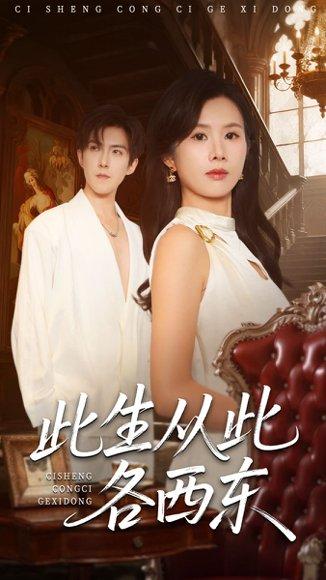 此生从此各西东（60集）赵宏伟＆刘梦奕封面图 - 都市短剧