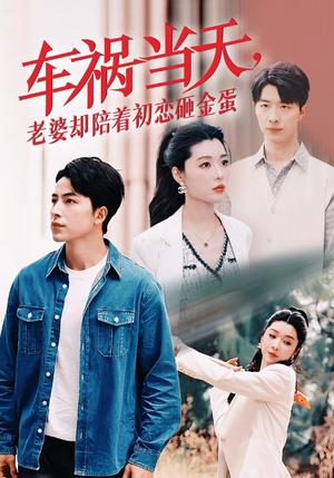 车祸当天老婆却陪着初恋砸金蛋（46集）吴昊（夸克网盘）封面图 - 短剧短剧