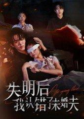 失明后我认错了未婚夫（34集）姜彬彬&杨宇轩封面图 - 爱情短剧