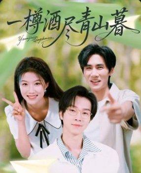 一樽酒尽青山暮封面图 - 武侠短剧