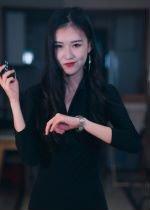制裁者的游戏封面