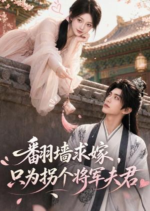 翻墙求嫁，只为拐个将军夫君（50集）（夸克网盘）封面