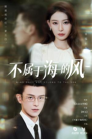 不属于海的风（40集）董炜&武伯言（夸克网盘）封面图 - 都市,爱情短剧