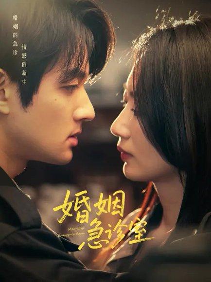 婚姻急诊室（20集）赵子麒＆林子煊封面图 - 都市短剧