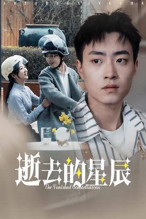 逝去的星辰（31集）李海蒂（夸克网盘）封面图 - 都市短剧