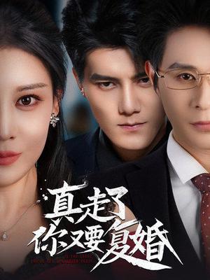真走了你又要复婚（60集）雷艺昊＆刘欣然（夸克网盘）封面图 - 婚姻短剧