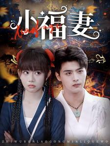 小福妻（62集）吕星灼（夸克网盘）封面图 - 古装短剧