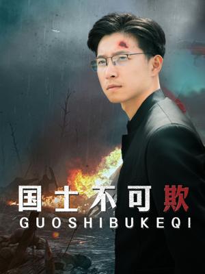 国士不可欺（79集）（夸克网盘）封面图 - 短剧短剧