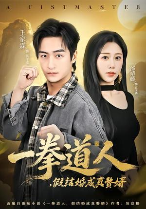 一拳道人，假结婚成真赘婿（61集）邰靖懿&王祉溢（夸克网盘）封面图 - 短剧短剧