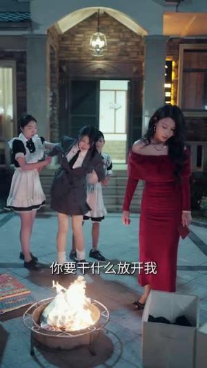 美人引陷（56集）萨钢云＆于小琬&王冰星（夸克网盘）封面图 - 古装短剧