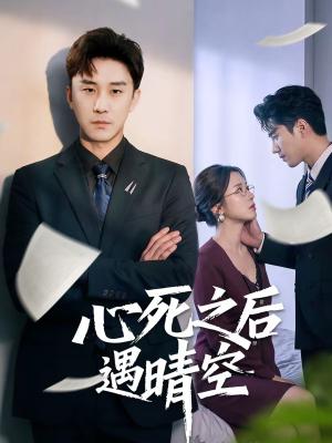 心死之后遇晴空（30集）何为＆陆宇（夸克网盘）封面图 - 爱情短剧