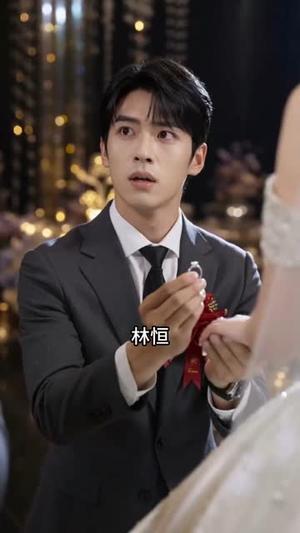天价彩礼，我转身求婚伴娘（70集）Ai短剧（夸克网盘）封面图 - 短剧短剧