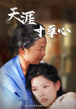《天涯寸草心》短剧封面