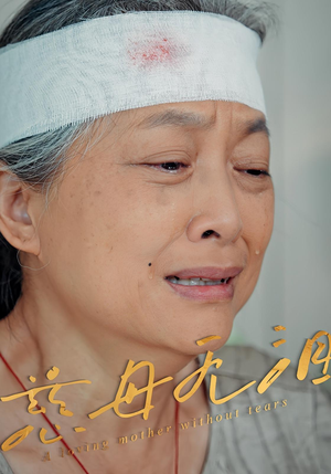 《慈母无泪（30集）》短剧封面