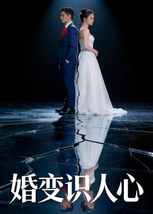 婚变识人心（54集）Ai短剧（夸克网盘）封面图 - 短剧短剧
