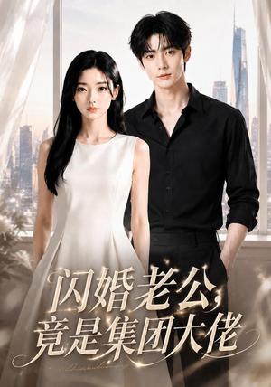 闪婚老公竟是集团大佬（55集）（夸克网盘）封面