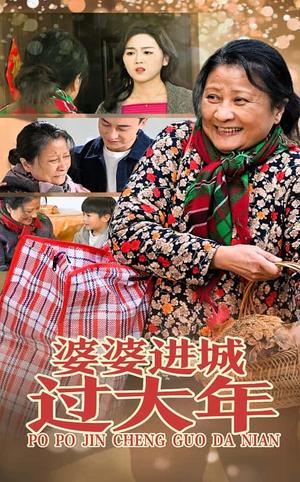 婆婆进城过大年（33集）（夸克网盘）封面