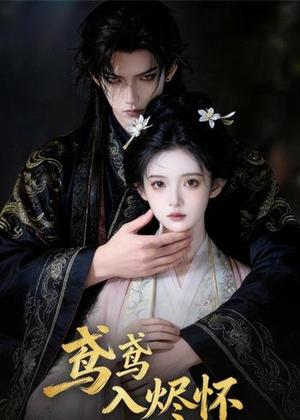 158-鸢鸢入烬怀(15集)(夸克网盘) 158-鸢鸢入烬怀(15集)(夸克网盘)封面