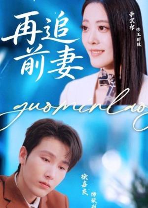 再追前妻（49集）（夸克网盘） - 都市虐恋短剧封面