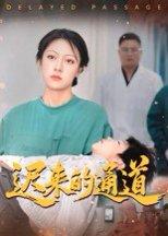 迟来的通道封面图 - 励志短剧