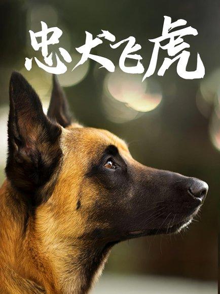 忠犬飞虎封面图 - 剧情短剧