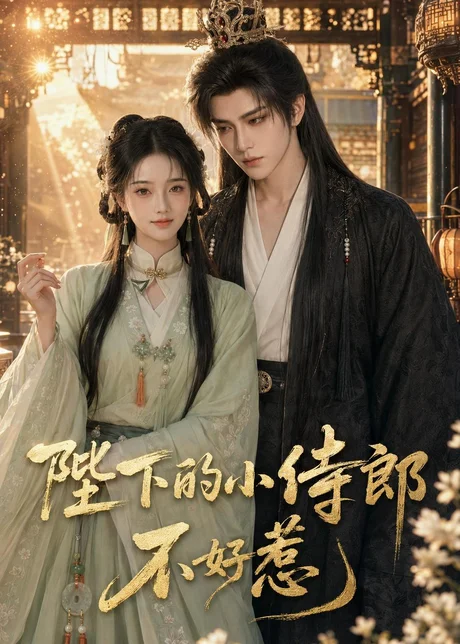 《陛下的小侍郎不好惹（49集）（百度网盘）》短剧封面