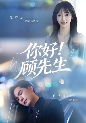 你好！顾先生（60集）赵诗意＆王泽义（夸克网盘）封面图 - 都市短剧