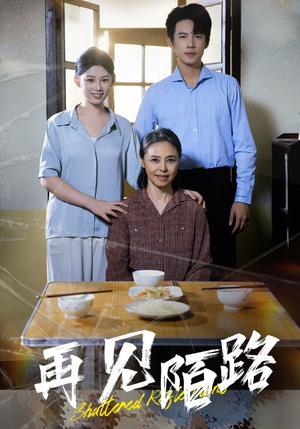再见陌路（39集）（夸克网盘）封面