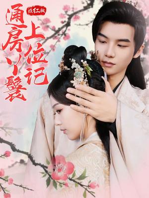 照红妆通房丫鬟上位记（85集）黄子淇＆赵昱萱（夸克网盘）封面图 - 短剧短剧