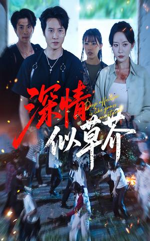 深情似草芥（51集）源鑫&王瀚迎（夸克网盘）封面图 - 校园爱情短剧