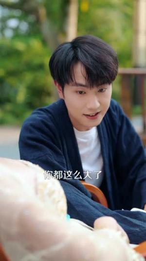 无敌下山，我的女神老婆风华绝代（80集）张耀玮＆赵亦菲（夸克网盘）封面