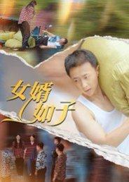 女婿如子（40集）封面图 - 家庭短剧