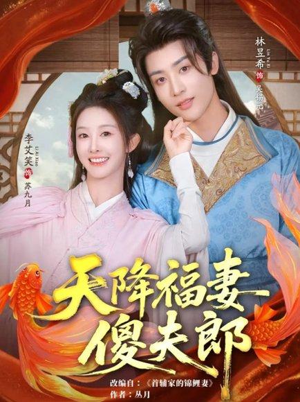 天降福妻傻夫郎（85集）林昱希&李艾笑封面图 - 古装短剧