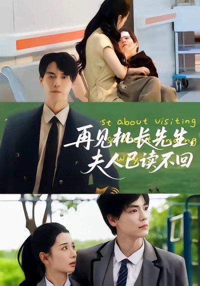 再见机长先生夫人已读不回封面图 - 剧情短剧