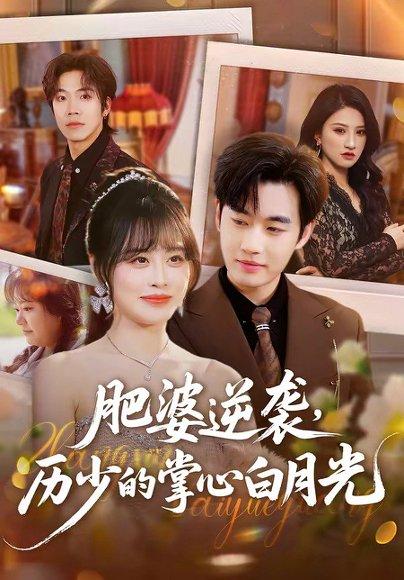 肥婆逆袭，历少的掌心白月光（56集）申佳妮＆易恒（百度网盘）封面图 - 都市短剧