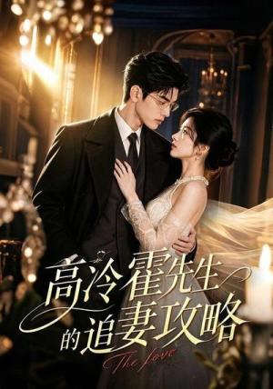 高冷霍先生的追妻攻略（64集）（夸克网盘）封面