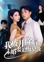 我被开除后，未婚妻追悔莫及（63集）丁敬一（百度网盘）封面图 - 都市逆袭短剧