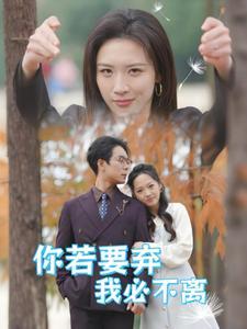你若要弃我必不离&绝望主妇怒点天灯（30集）（夸克网盘）封面图 - 家庭情感短剧