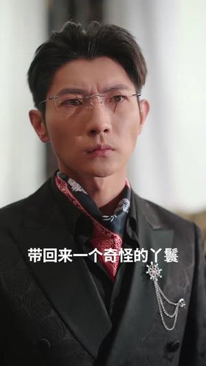 凤栖梧桐（68集）申浩男&王子甲（夸克网盘）封面