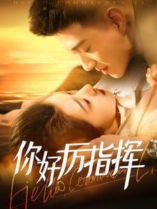 你好厉指挥（100集）黄文博＆张启璇（夸克网盘）封面图 - 短剧短剧