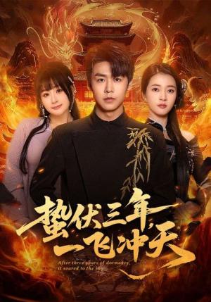 蛰伏三年，一飞冲天（60集）孔德瑞＆刘浔（夸克网盘）封面图 - 都市短剧