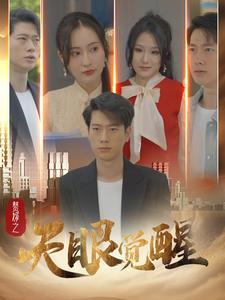 春风替我遇见你（100集）（夸克网盘）封面