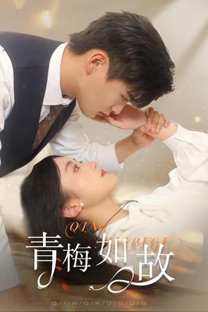 再见倾心（60集）葛晓希 鲜嘉臣（夸克网盘）封面