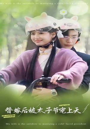 替嫁后被太子爷宠上天（80集）王槿&沉思（夸克网盘）封面图 - 年代短剧