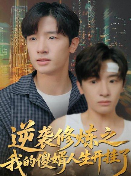 逆袭修炼之我的傻婿人生开挂了（65集）封面图 - 剧情短剧