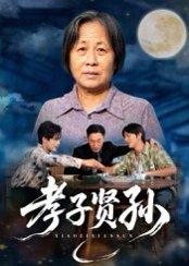 孝子贤孙（81集）张易嵘&陈妞妞（百度网盘）封面