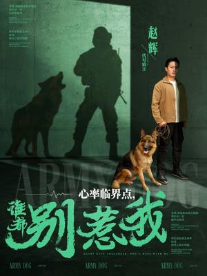 心率临界点谁都别惹我（96集）晁轩＆杨晴&王佳琪（夸克网盘）封面图 - 短剧短剧