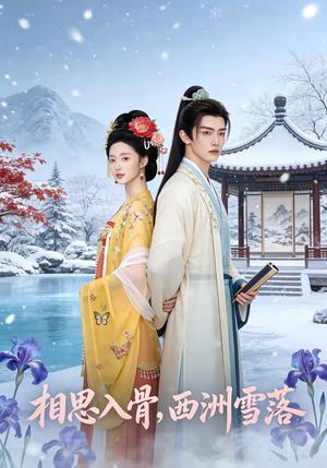 相思入骨，西洲雪落（58集）（夸克网盘）封面图 - 短剧短剧