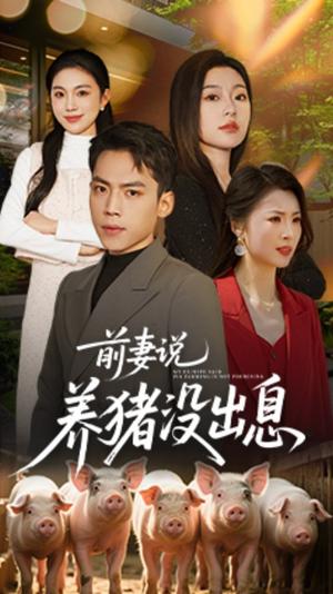 前妻说养猪没出息（60集）孙嘉贺＆静允（夸克网盘）封面